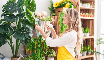 9 Common Fertilizing Mistakes to Avoid for Healthier Houseplants