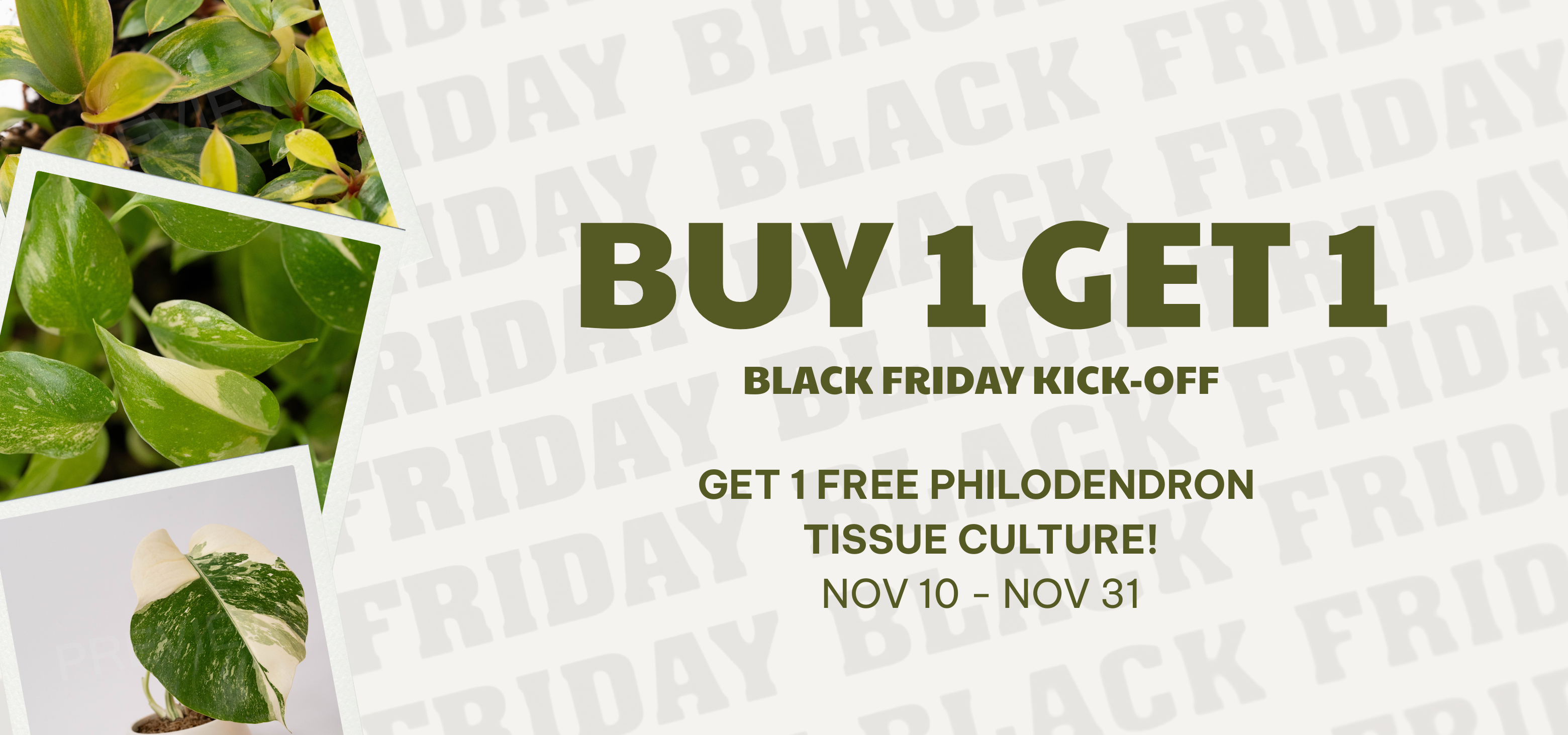 slider image 1621243260e1af0c20-1